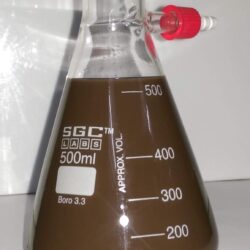 Buy Flask Filtering Heavy Wall with tubulation 'SGCLABS' 500 ml. - Laboratory Glassware | SGC LABS® India